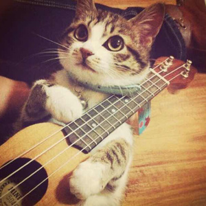 欧美最强深喉免费视频
